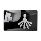 Master Yourself luxury metal card featuring a silhouette with multiple shadows in glossy black finish